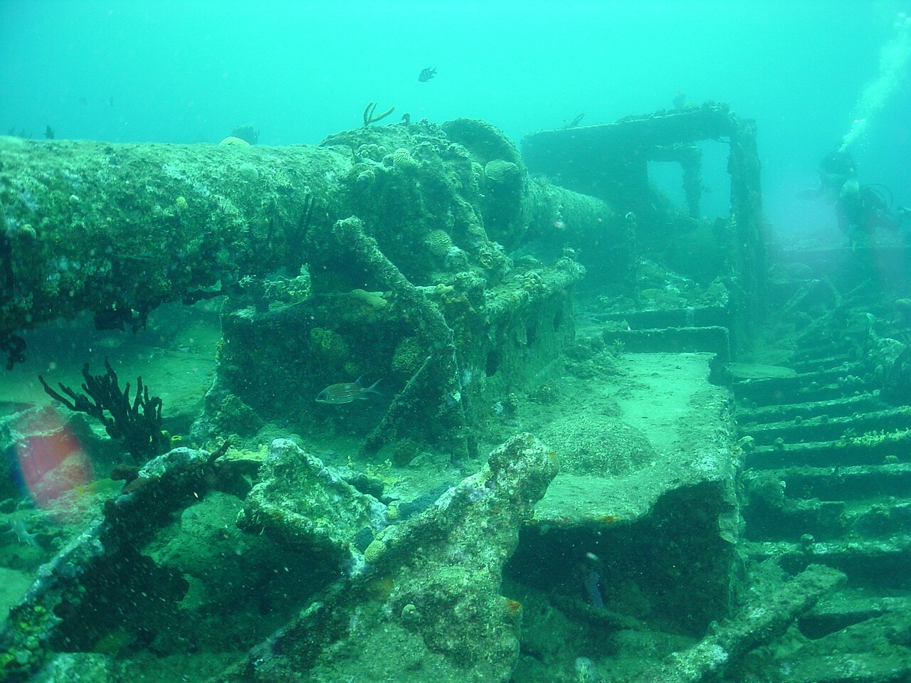 Diver over the RMS Rhone wreck