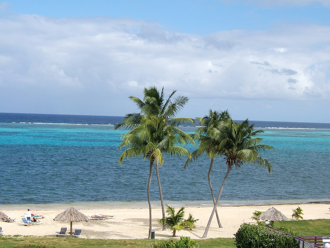 Palm tree leaning over a quiet St. Croix beach