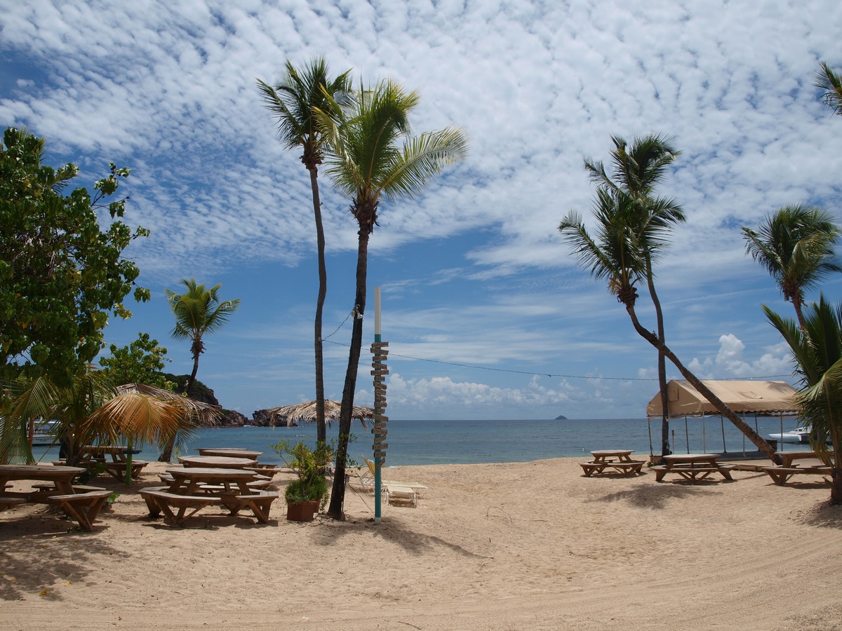 Palm-lined beach at Bolongo Bay